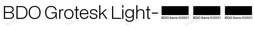 BDO Grotesk Light字体转换